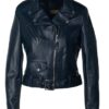 Women's Cropped Perfecto in Lambskin Leather Jacket - Product View