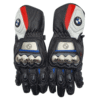 BMW Motorrad Racing Gloves - Front View